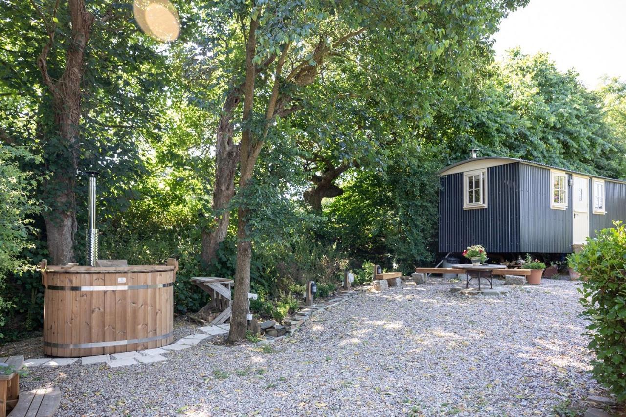 Bed & Breakfast Brookfields Wadebridge