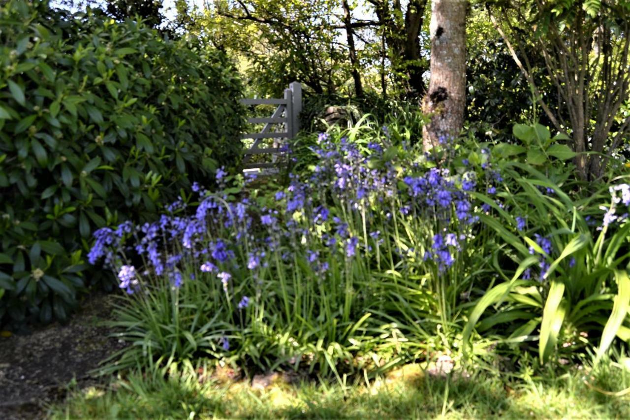Bed & Breakfast Brookfields