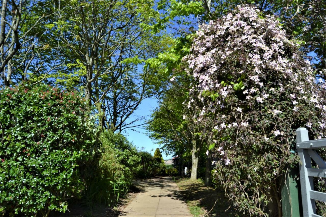 Brookfields Bed & Breakfast Wadebridge